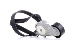 Dayco Poly V-riem set  KPV333