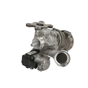 Mahle Turbocharger  030 TC 11001 000