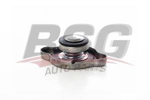 Asia Motors Radiateurdop