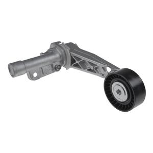 Citroen Riemspanner