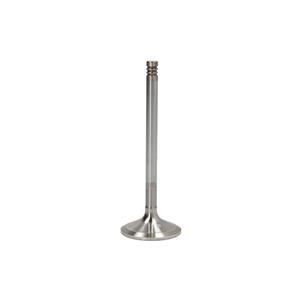 Kolbenschmidt Inlaatklep  22314
