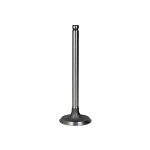 Paradowscy Inlaatklep  PPER005