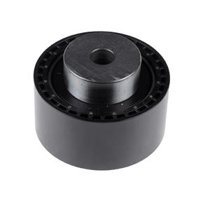 Citroen Geleide rol/omdraairol getande riem