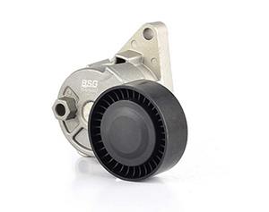 Bmw Spanner, Poly V-riem