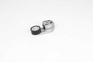 Bmw Riemspanner, Poly V-riem