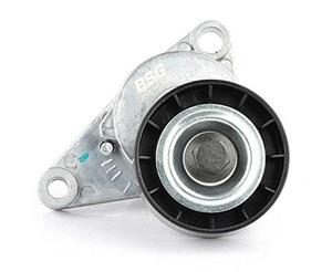 Citroen Riemspanner, Poly V-riem