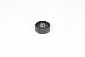 Dacia Geleide rol/omdraairol, Poly V-riem