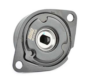 Audi Spanner, Poly V-riem