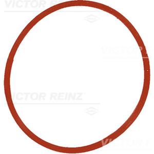 Reinz Pakking, inlaatspruitstuk  40-77534-00