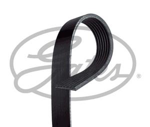 ford Multiriem
