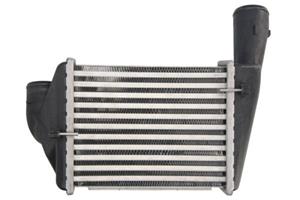 Intercooler THERMOTEC DAA029TT