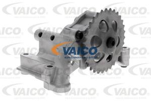 Vaico Ölpumpe  V10-3702