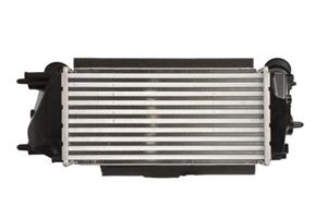 Intercooler THERMOTEC DAG029TT