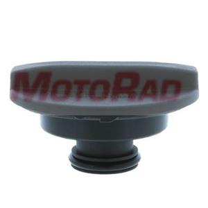 Mercedes-Benz Radiateurdop