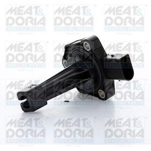 Ford Sensor, motoroliepeil