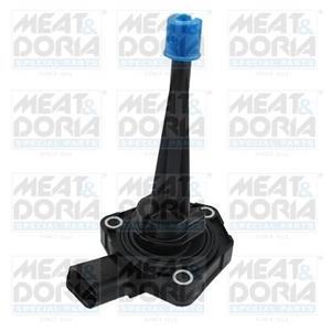Audi Sensor, motoroliepeil