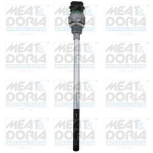 Renault Sensor, motoroliepeil