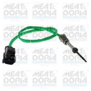 Ford Sensor, uitlaatgastemperatuur