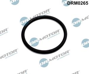 dr.motorautomotive Dichtung, Leitung AGR-Ventil Dr.Motor Automotive DRM0265