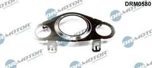 dr.motorautomotive Dichtung, AGR-Ventil Dr.Motor Automotive DRM0580