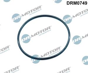 dr.motorautomotive Dichtung, Ansaugkrümmer AGR-Ventil an Krümmer Dr.Motor Automotive DRM0749