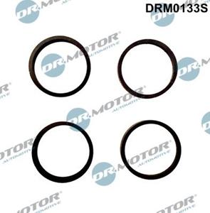 dr.motorautomotive Dichtungssatz, Ansaugkrümmer Dr.Motor Automotive DRM0133S