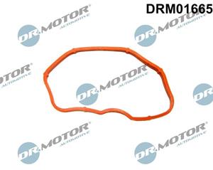 dr.motorautomotive Dichtung, Ansaugkrümmer unten Dr.Motor Automotive DRM01665