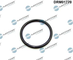 dr.motorautomotive DR.MOTOR AUTOMOTIVE Ansaugkrümmerdichtung FORD,FIAT,PEUGEOT DRM01770 134091,1098190,134091 Ansaugdichtung,Dichtung, Ansaugkrümmer