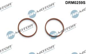 dr.motorautomotive Dichtungssatz, Ansaugkrümmer Dr.Motor Automotive DRM0259S