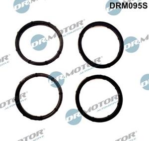 dr.motorautomotive Dichtungssatz, Ansaugkrümmer Dr.Motor Automotive DRM095S