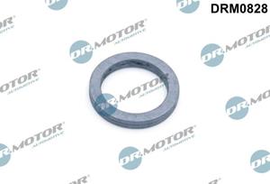 dr.motorautomotive DR.MOTOR AUTOMOTIVE Dichtung, Ölpumpe FORD,FIAT,PEUGEOT DRM0828 101309,101309