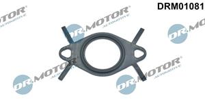 dr.motorautomotive Dichtung, Leitung AGR-Ventil Dr.Motor Automotive DRM01081