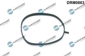 dr.motorautomotive Dichtung, Ansaugkrümmergehäuse Dr.Motor Automotive DRM0863
