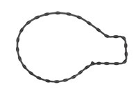 Lexus Pakking, waterpomp