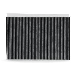 RIDEX Innenraumfilter Aktivkohlefilter 424I0321 Filter, Innenraumluft,Pollenfilter MERCEDES-BENZ,A-Klasse (W169),VIANO (W639),A-Klasse (W168)