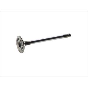 Trw Inlaatklep  ENGINE COMPONENT 29287
