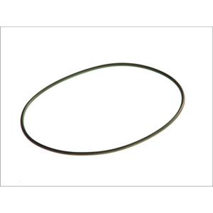 Elring O-ring  244.848