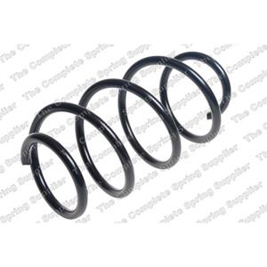 Lesjofors Chassisveer  4027719