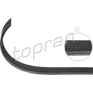 Hans Pries V-ribben riem  100 741