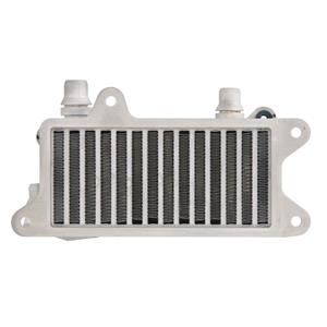 Mahle Intercooler BEHR  CI 224 000P