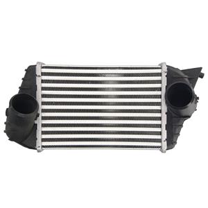 Thermotec Intercooler  DAF009TT