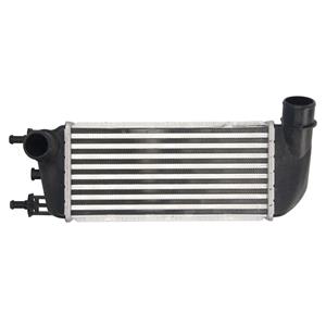 Thermotec Intercooler  DAF010TT