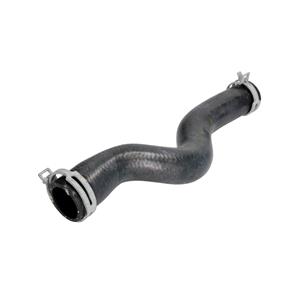 Kühlerschlauch oben Thermotec DWC125TT