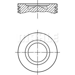 Mahle Zuiger  007 PI 00102 000