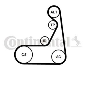 Contitech Poly V-riem set  6PK1173K1