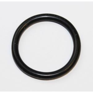 Dichtring ELRING 255.550
