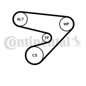 Contitech Poly V-riem set  5PK1230K1
