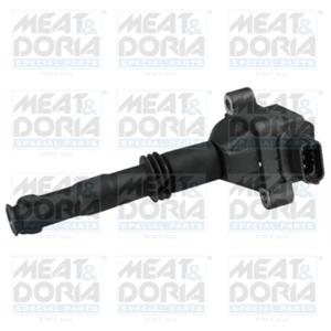 Meat & Doria Bobine  10554