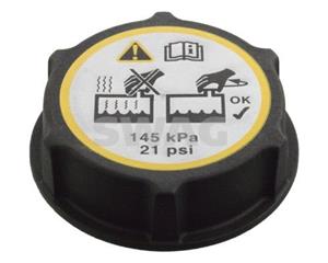Ford vorstplug