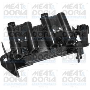 Meat & Doria Bobine  10447